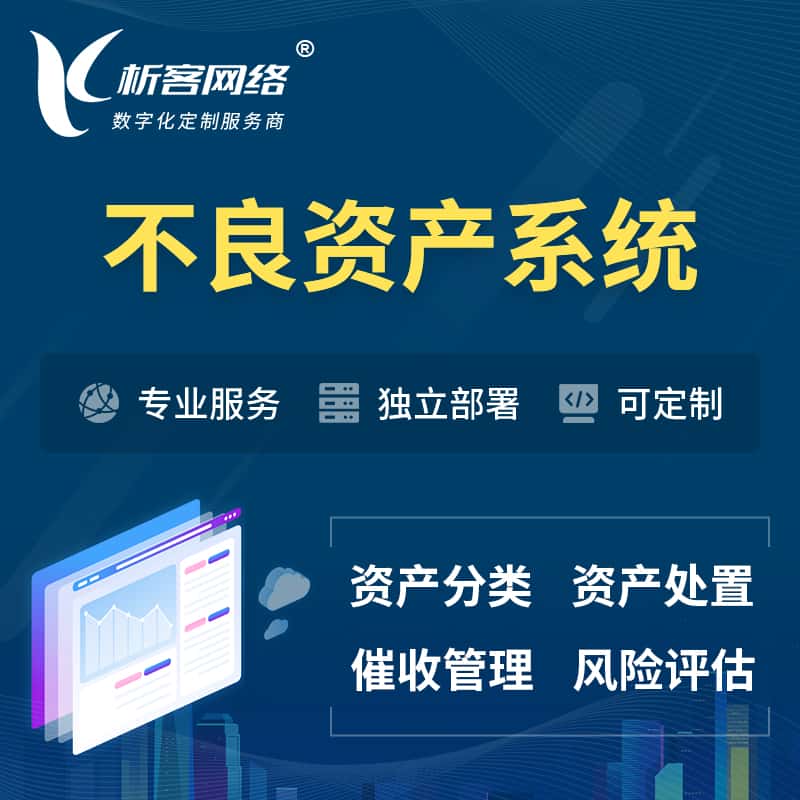 齐齐哈尔不良资产管理系统