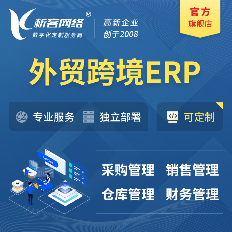 齐齐哈尔外贸跨境ERP软件生产海外仓ERP管理系统